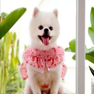 Flower print pet harness/ leash